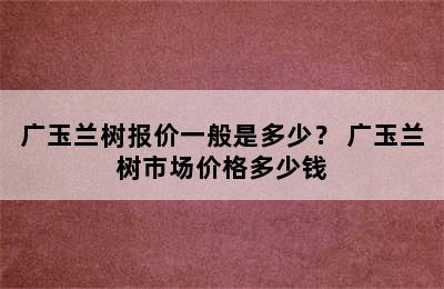 广玉兰树报价一般是多少？ 广玉兰树市场价格多少钱